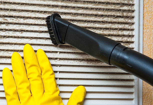 Best Air Duct Mold Removal  in Baldwin Park, CA